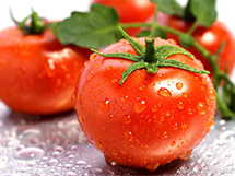 新鲜蔬菜番茄红通通通图片欣赏
