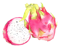 营养价值极高的新鲜水果白色火龙果图片