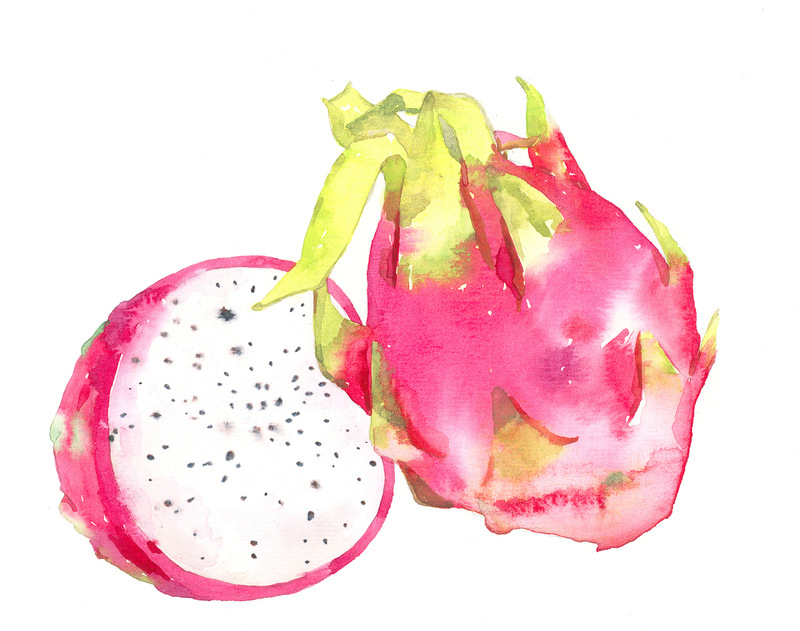 营养价值极高的新鲜水果白色火龙果图片第1张