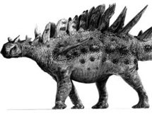 侏罗纪体型巨大的剑龙图片