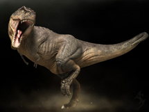 侏罗纪恐龙种类詹氏异特龙写真图片