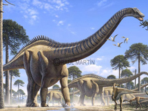 恐龙世界中最高最大的梁龙身长图片大全