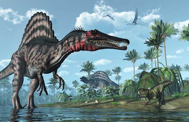 侏罗纪恐龙棘背龙的资料图片第1张