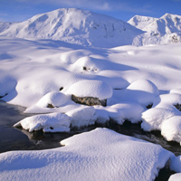 冬天家乡雪景壮观图片大全