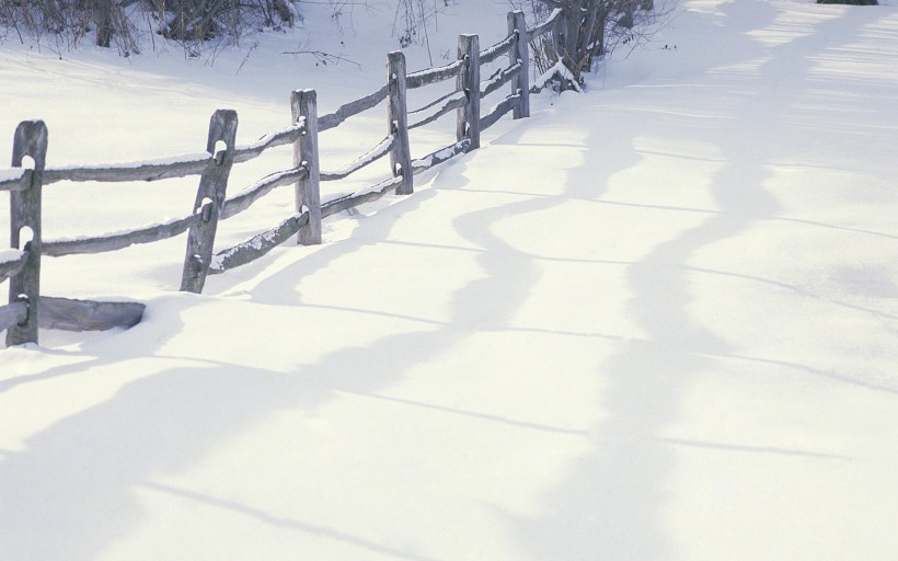 好看的冬天美丽恬淡雪景唯美图片第1张