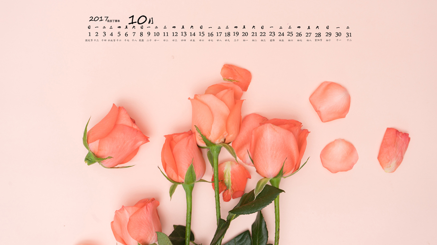 17年10月日历粉色玫瑰高清电脑桌面壁纸图片第1张