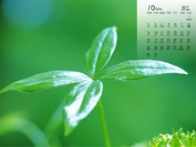 2017年10月日历绿色植物护眼壁纸桌面图片